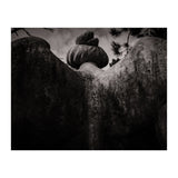 Angel Wings (Print Only) thumbnail