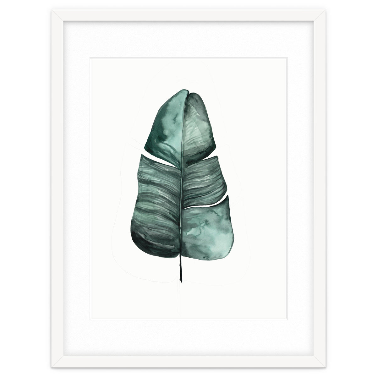 Botanical Illustration Banana Leaf