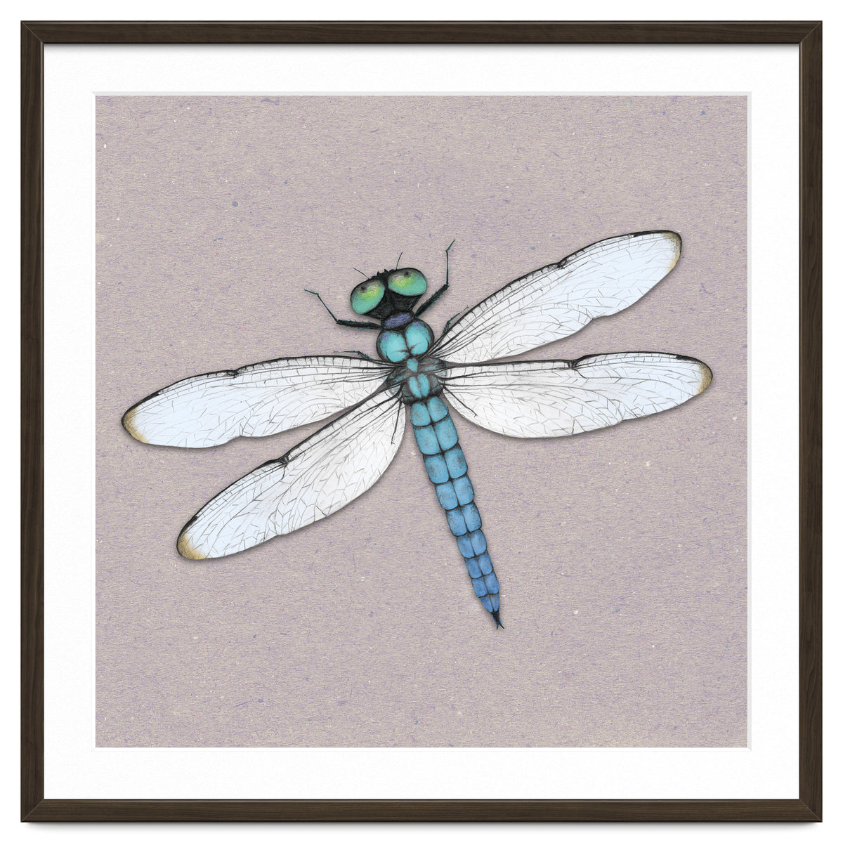 Blue dragonfly