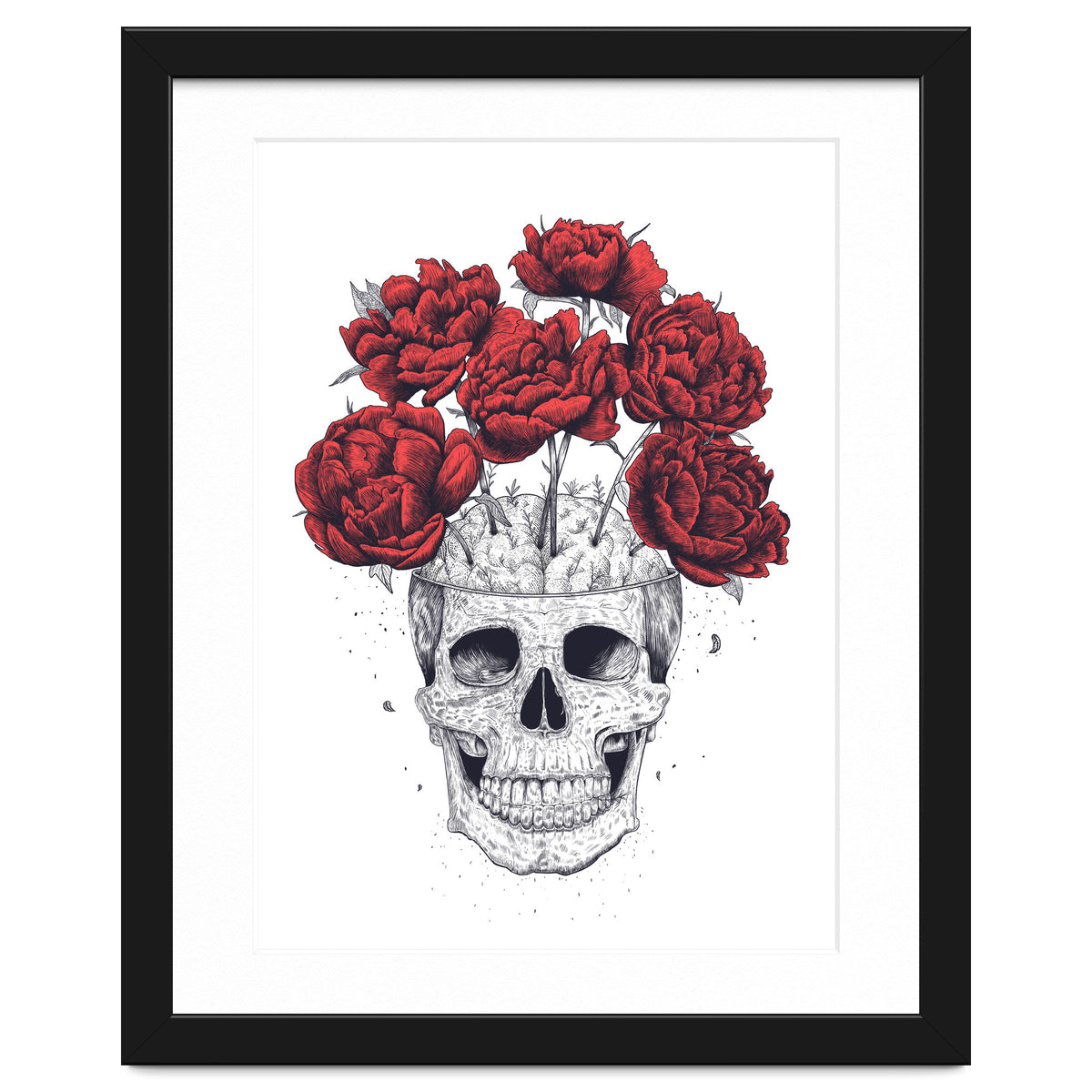 Skull With Peonies