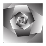Monochrome Rose Spiral  (Print Only) thumbnail