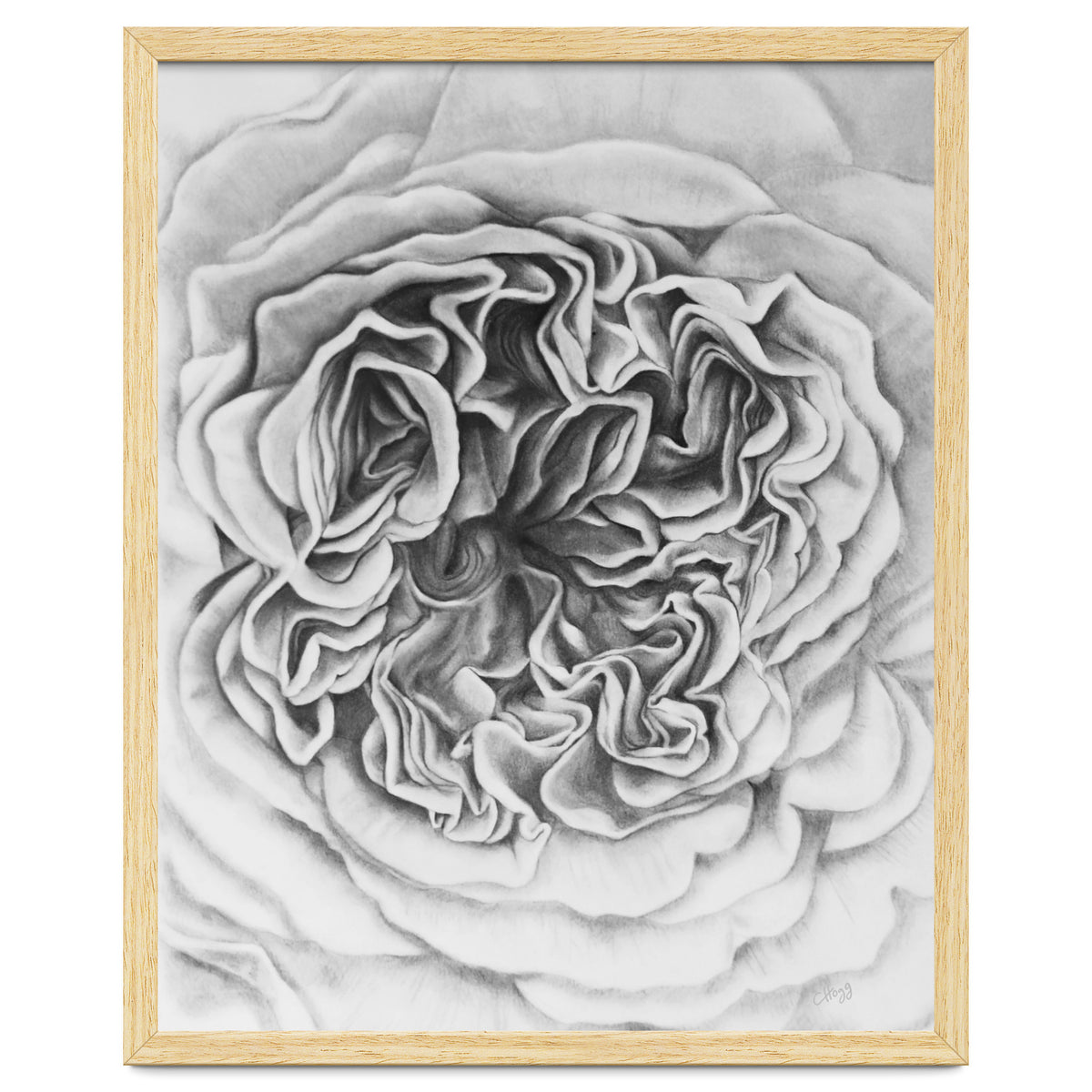 A Rose in Monochrome