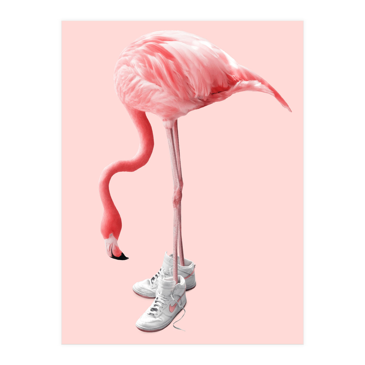 Sneaker Flamingo (Print Only)