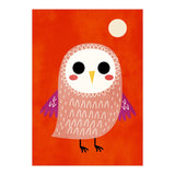 Little Owl (Print Only) thumbnail