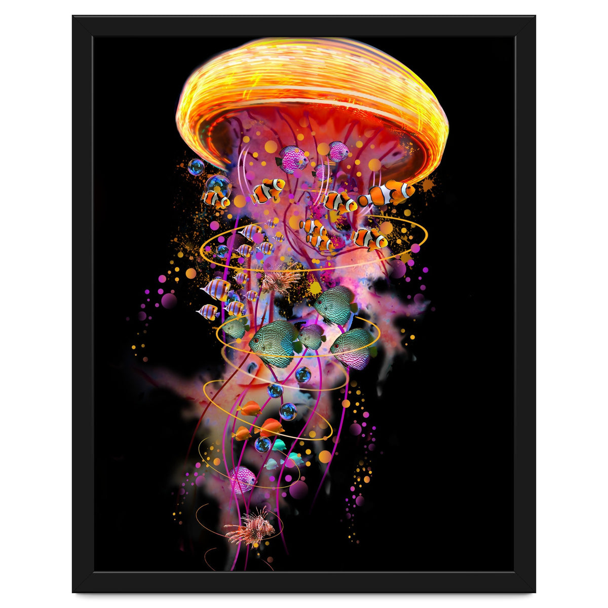 Jelly Fish Ride Summer2018 Dbh