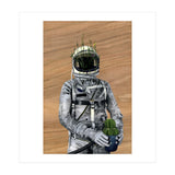 Cacti (Print Only) thumbnail