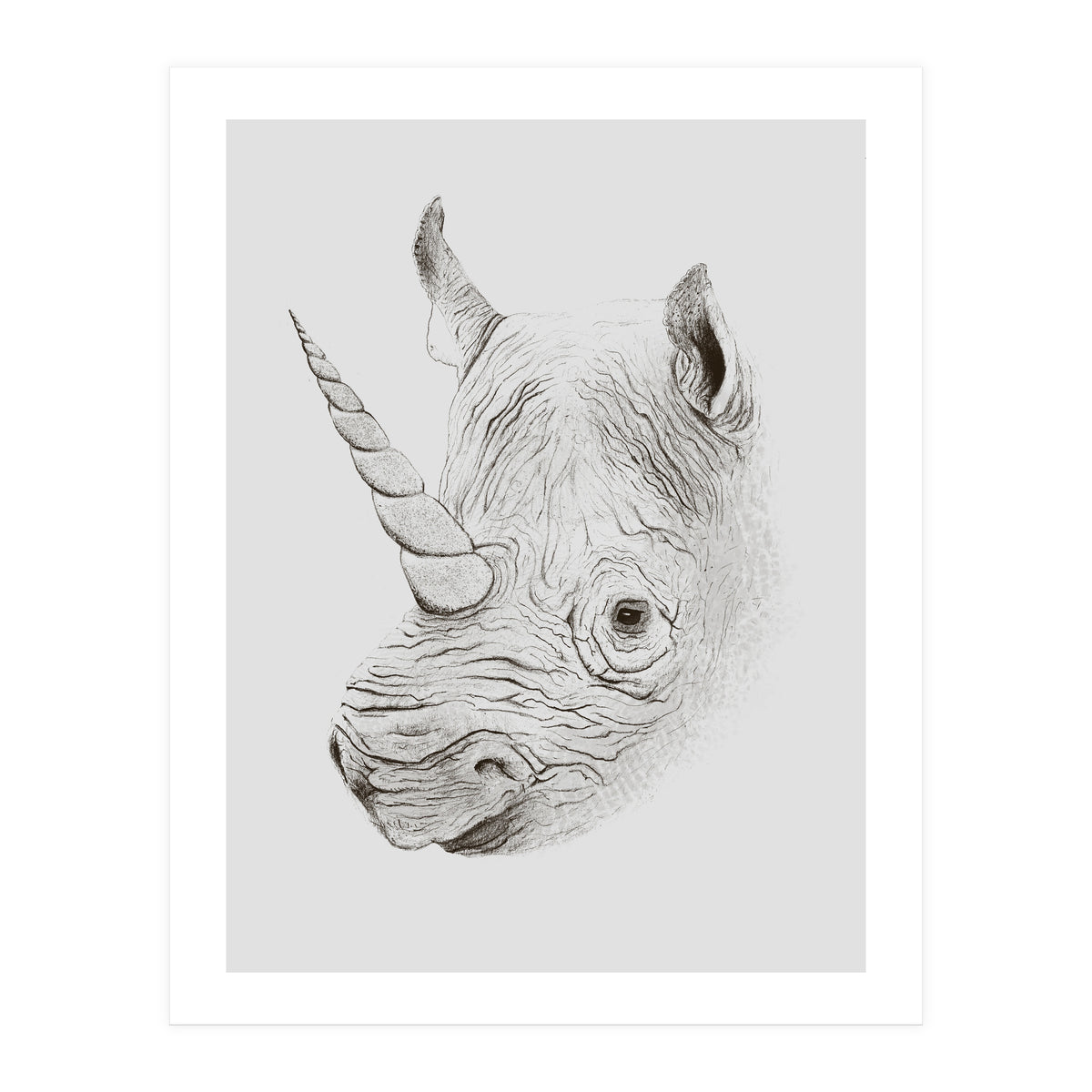 Rhinoplasty (Print Only)