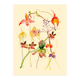 Orchids #1 (Print Only) thumbnail