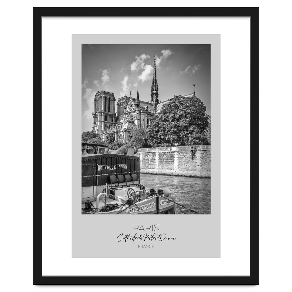 In focus: PARIS Cathedral Notre-Dame