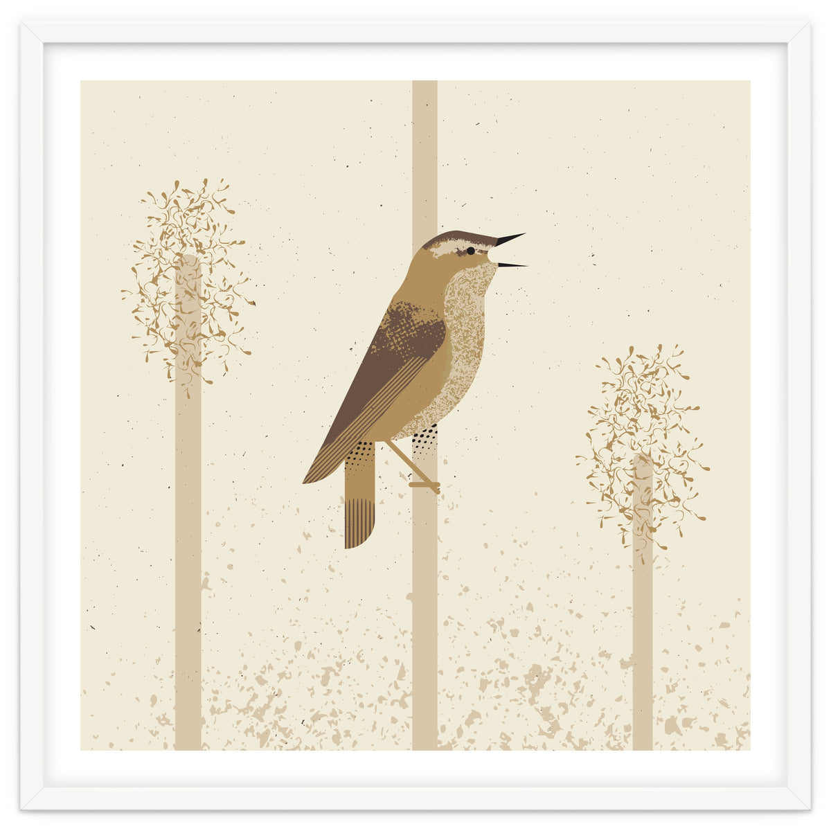 Sedge Warbler