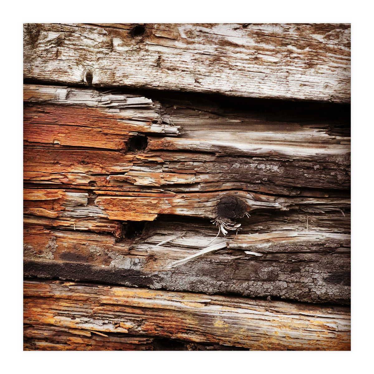 weather worn wood (Print Only)