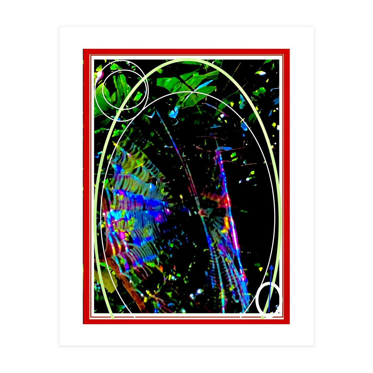 0 Ec6585 E B8 D5 4895 9 B31 4 Ea29 D6140 A6 (Print Only)