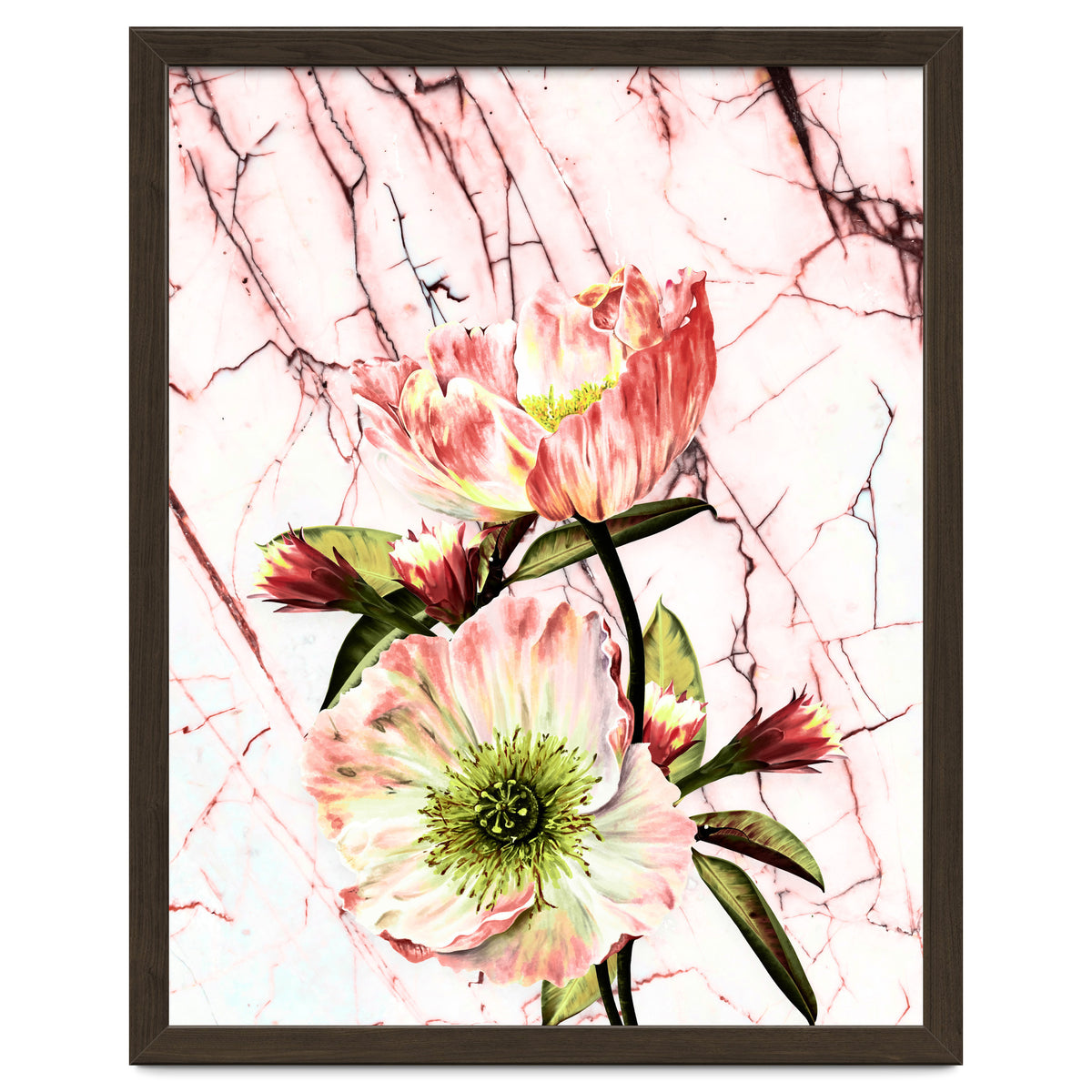 Flowering on pink marble