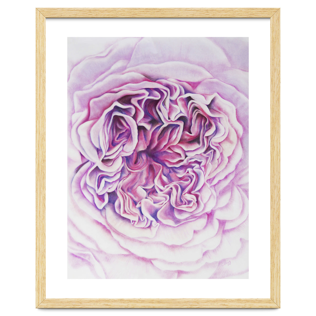 A Rose Is A Rose Std