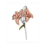 Lily (Print Only) thumbnail