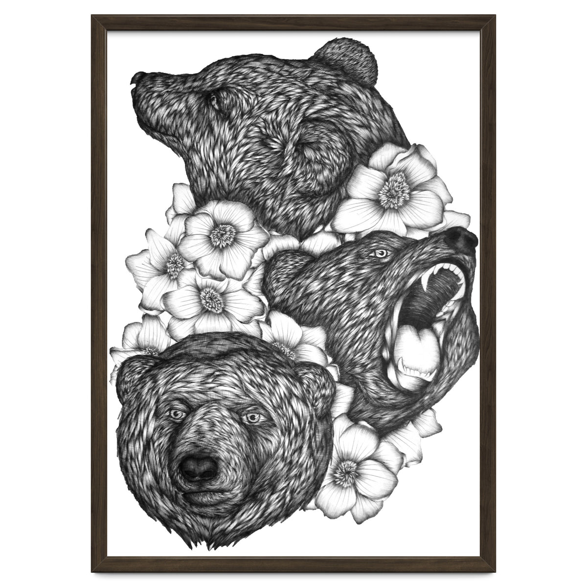 Bears In Bears