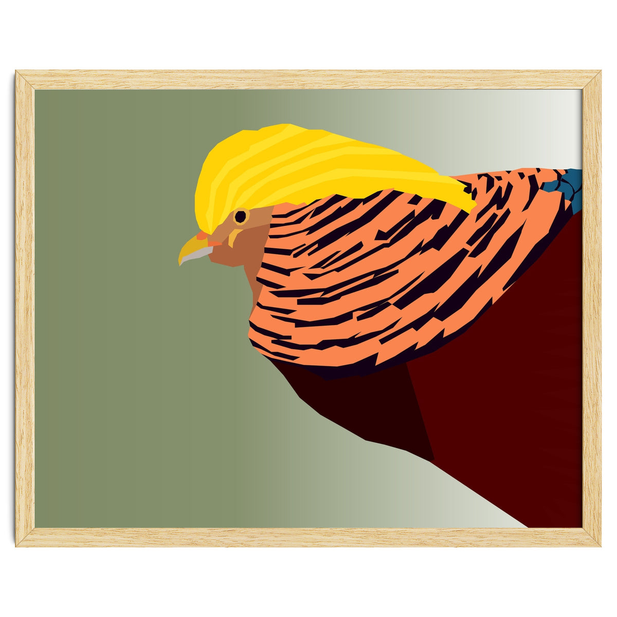 Golden Pheasant Bird Art