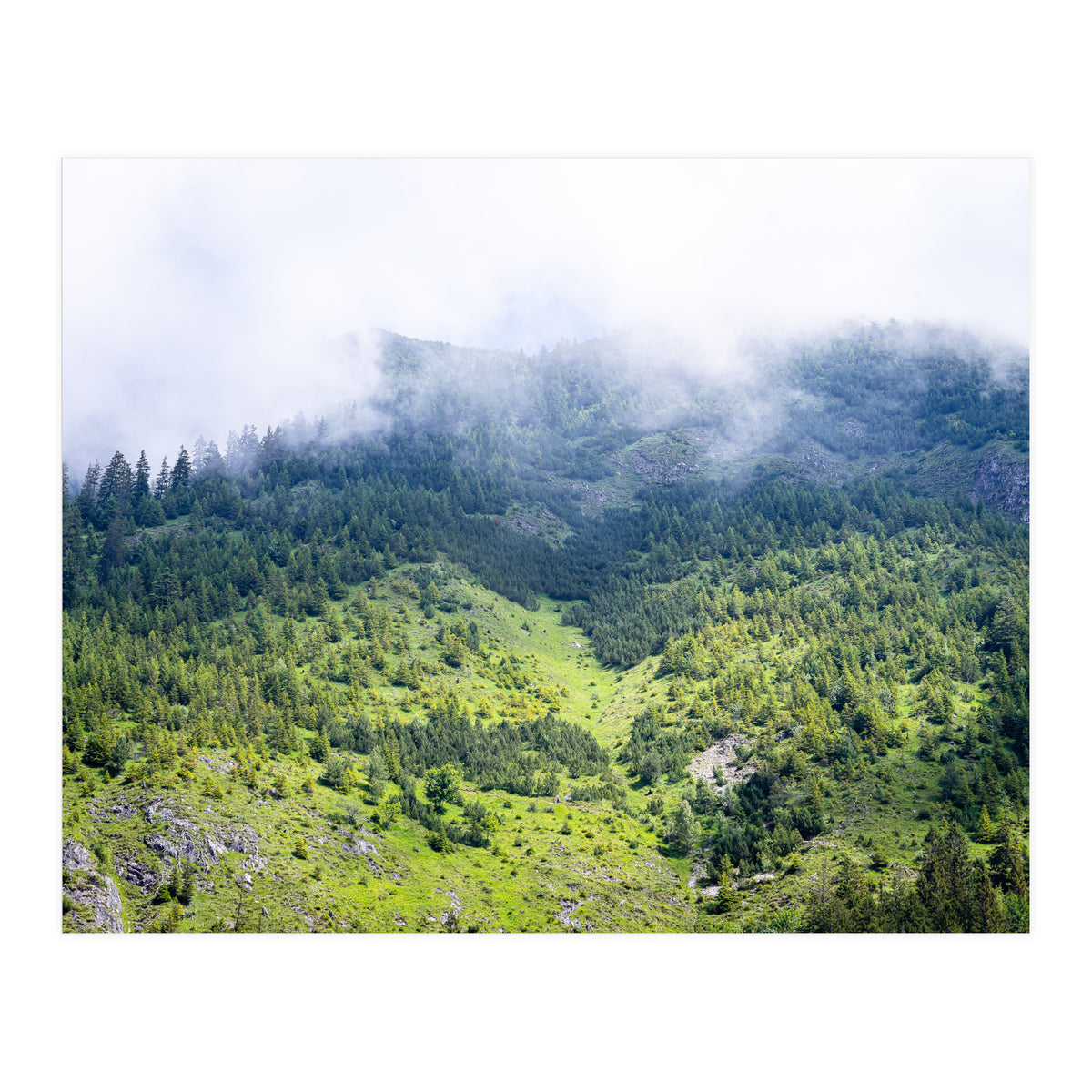 Ascension (Print Only)