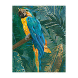 Macaw Meditation in the tropical jungle (Print Only) thumbnail