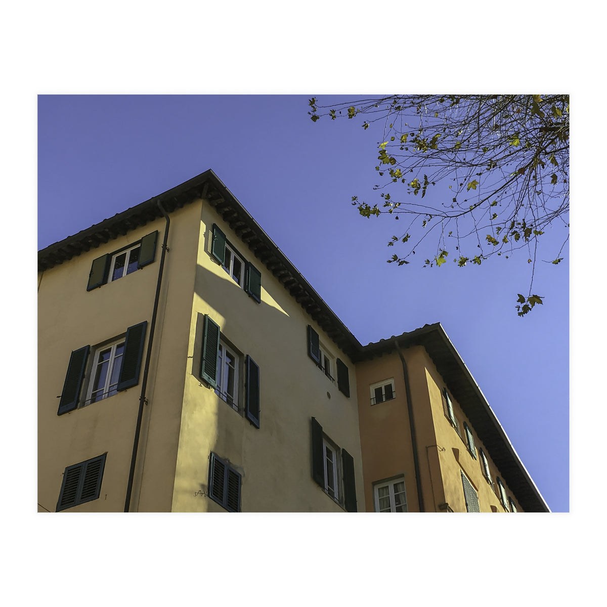 Windows From Tuscany 2 (Print Only)