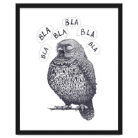 Owl Bla Bla Bla