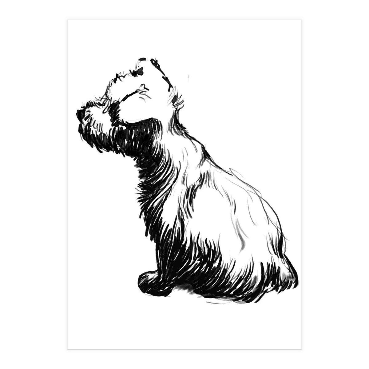 Little Dog (Print Only)