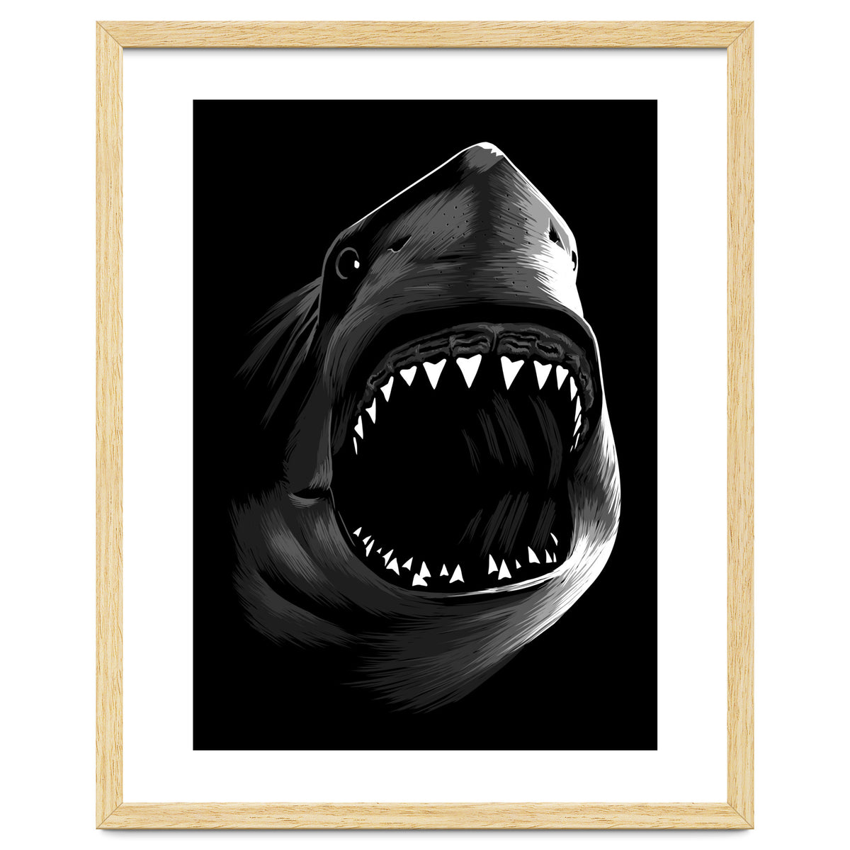 Megalodon