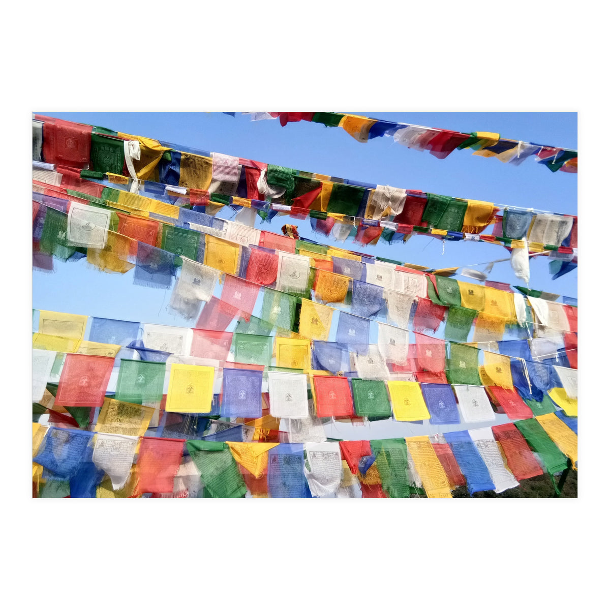 Prayer Flags  - Series 1 (Print Only)