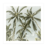 Lovely Palm Trees | Vintage (Print Only) thumbnail