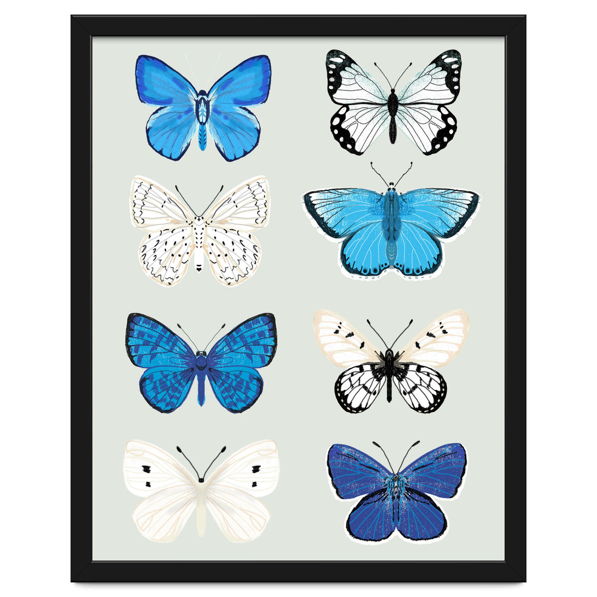 Lepidoptery Study No. 3