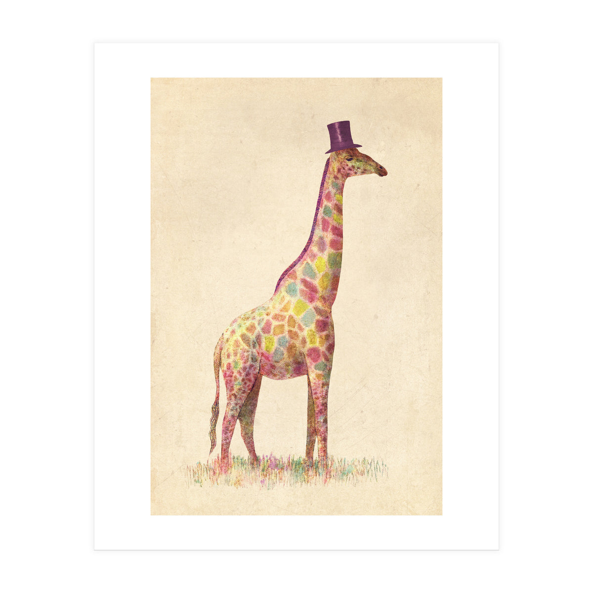 Fashionable Giraffe (Print Only)