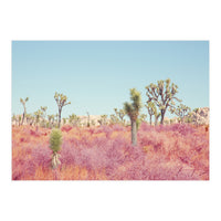 Surreal Desert (Print Only)