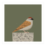 Sparrow  (Print Only) thumbnail