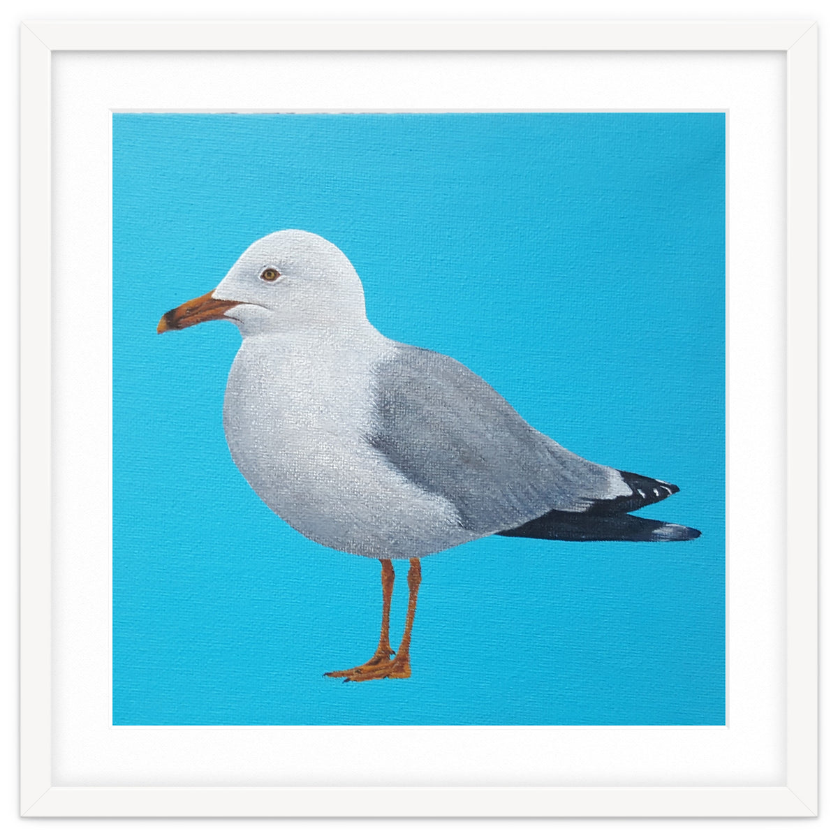 Seagull