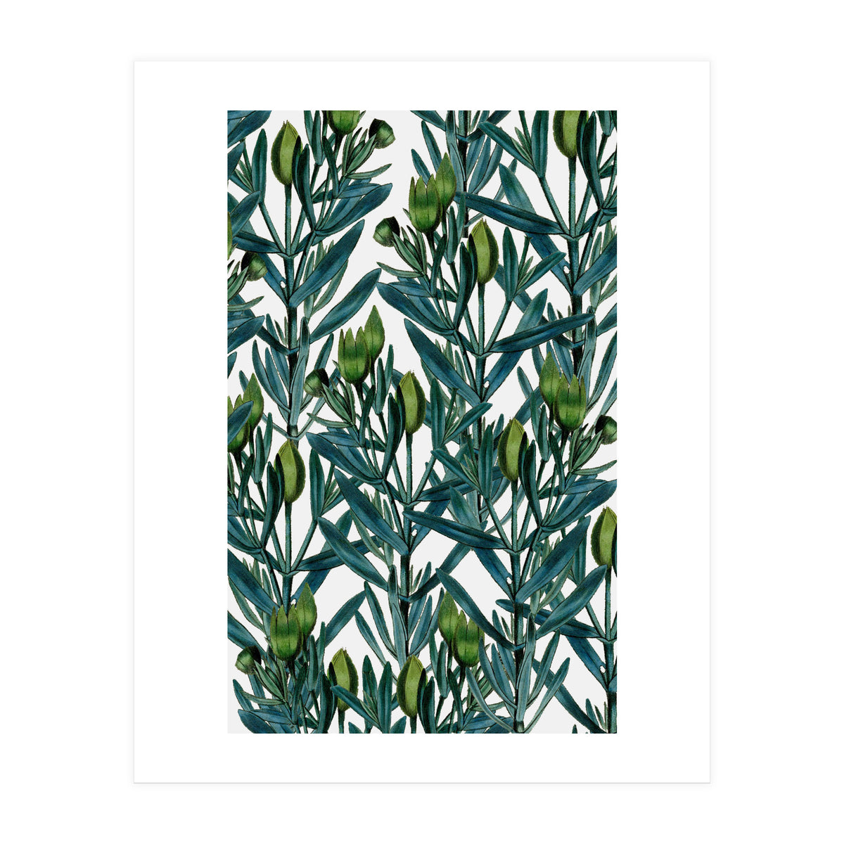 Floral Floral (Print Only)