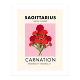 Sagittarius Birth Flower Carnation  (Print Only) thumbnail