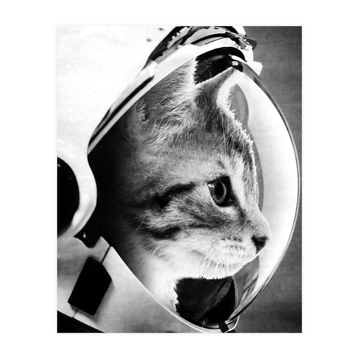Astrocat (Print Only)