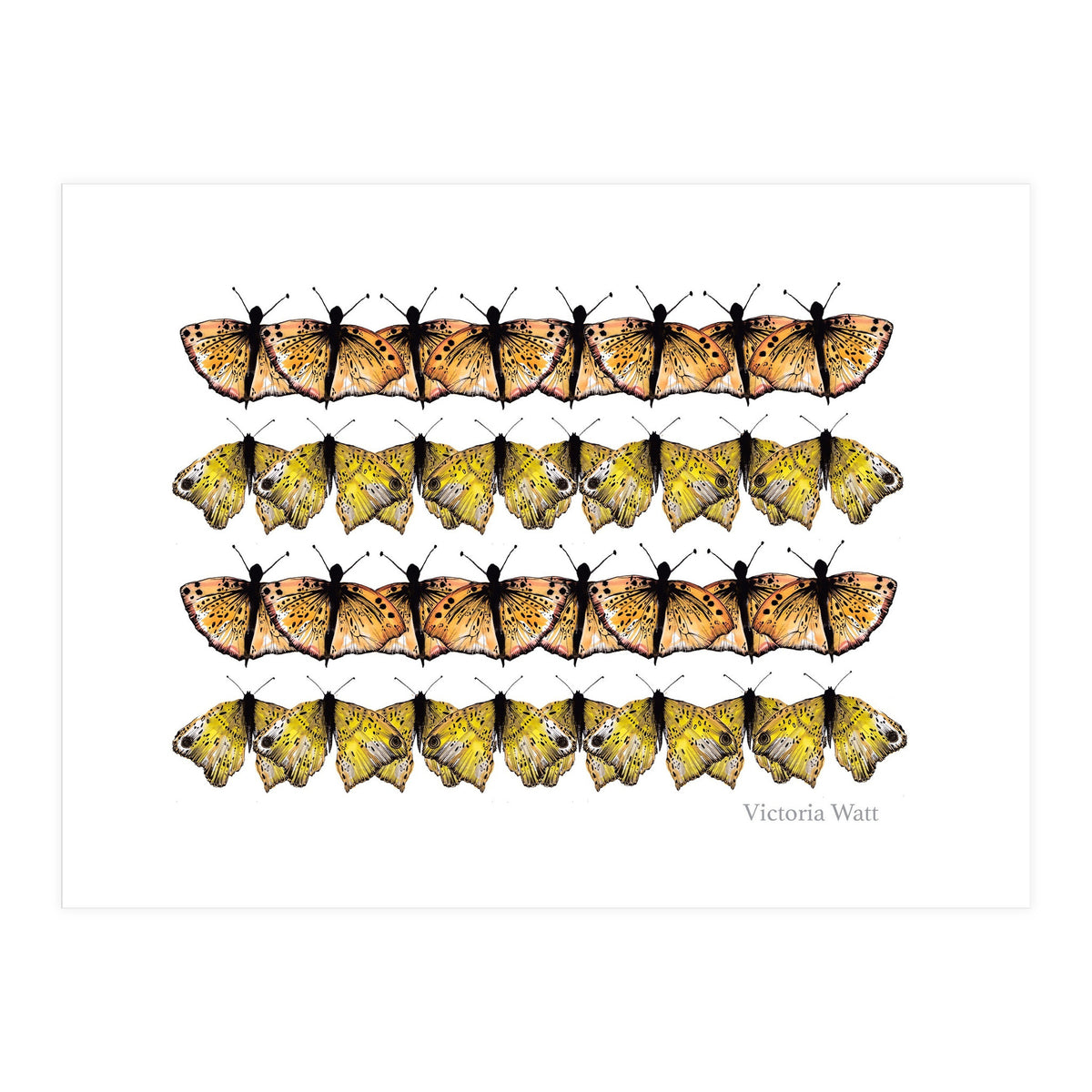 Butterfly Dance (Print Only)
