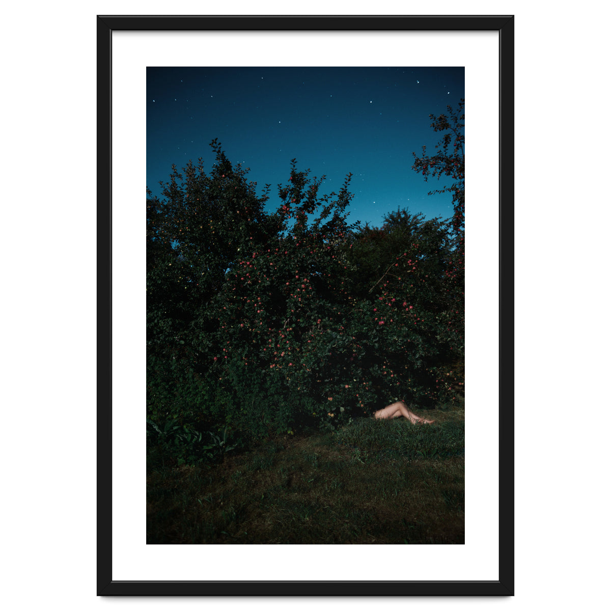 The Cider House Legs