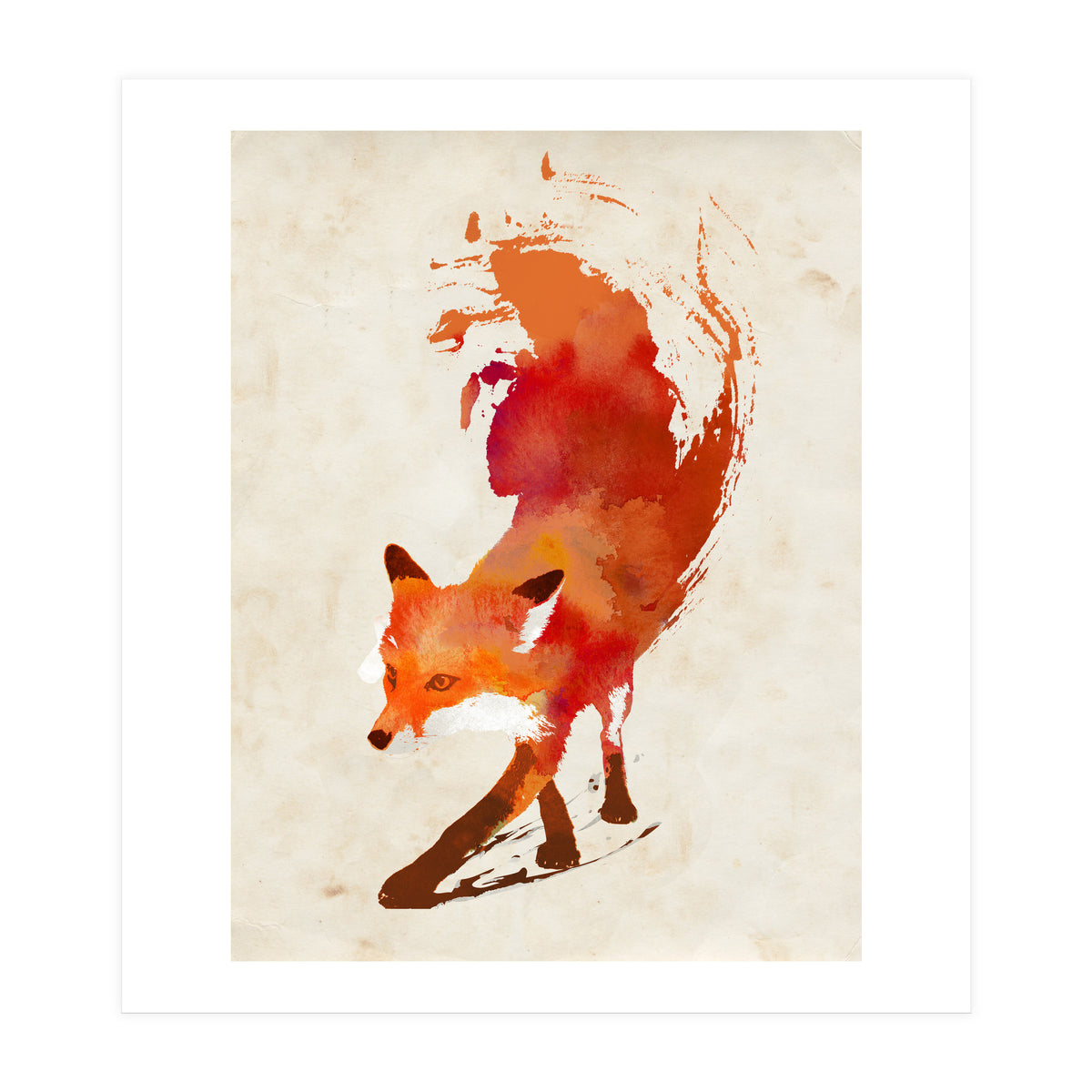 Vulpes Vulpes (Print Only)