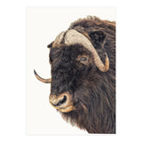 Cc Animal 02 (Print Only) thumbnail