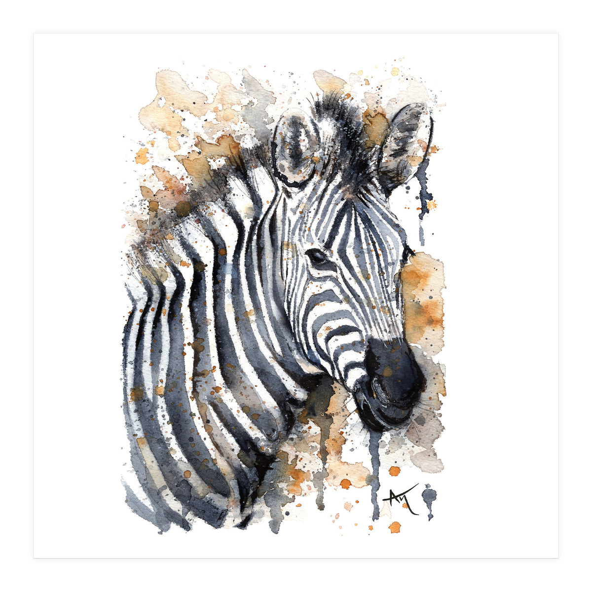 Zebra - Wildlife Collection (Print Only)