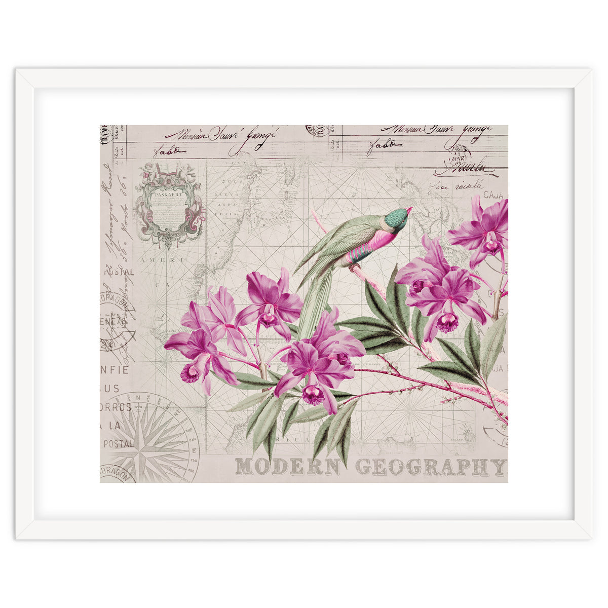 The Birds Voyage Of Discovery