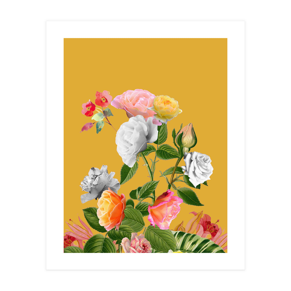 Floral Pop (Print Only)