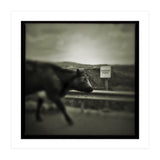 Struan Road (Print Only) thumbnail