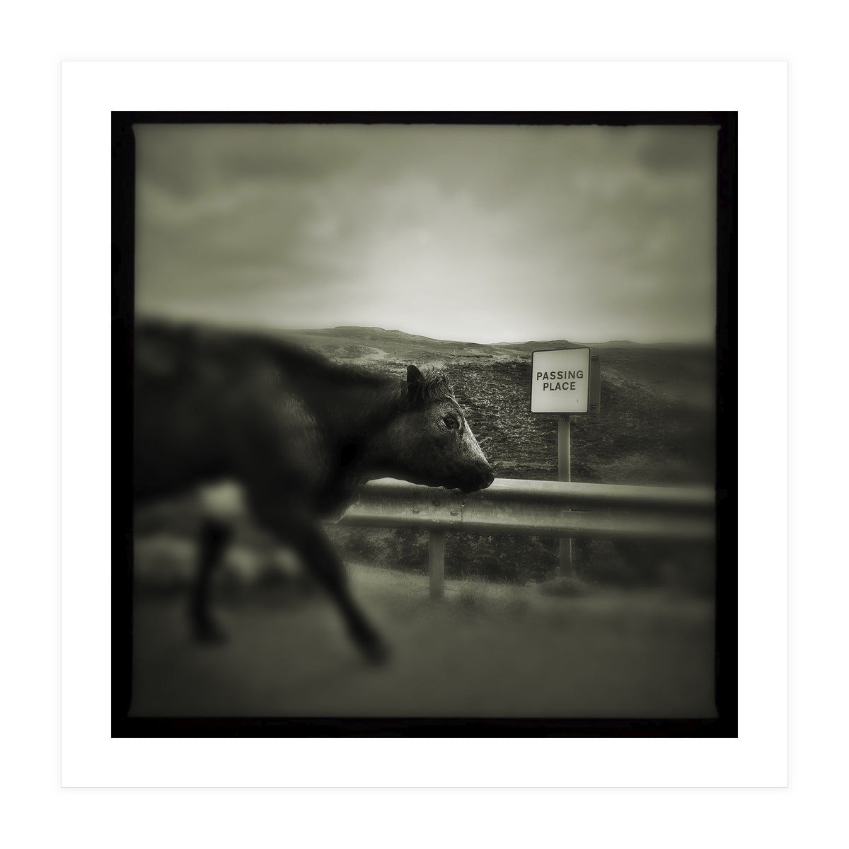 Struan Road (Print Only)