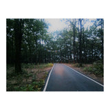 In To The Wild (Print Only) thumbnail