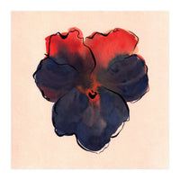 Blue Pansy (Print Only)