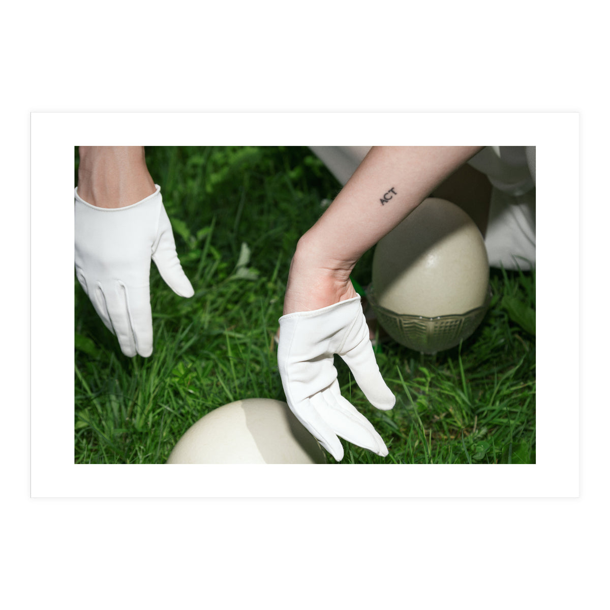 Dinosaur Inside (Print Only)