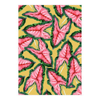 Caladium, Botanical Tropical Nature Plants, Vintage Bohemian Exotic Blush Leaves (Print Only)